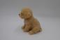 Preview: Hund gross