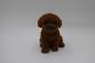 Preview: Hund gross