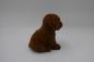 Preview: Hund gross