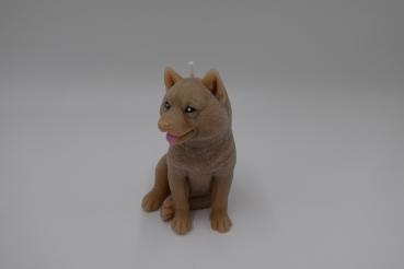 Schäferhund matt