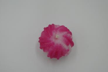 Wollknäuel weiss-pink