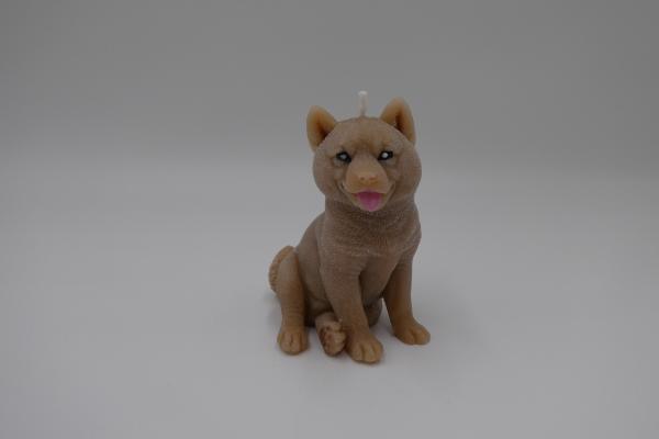 Schäferhund matt