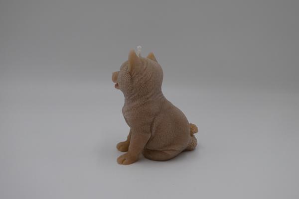Schäferhund matt