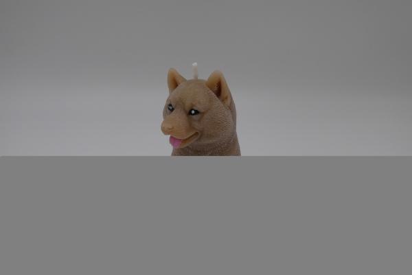 Schäferhund matt