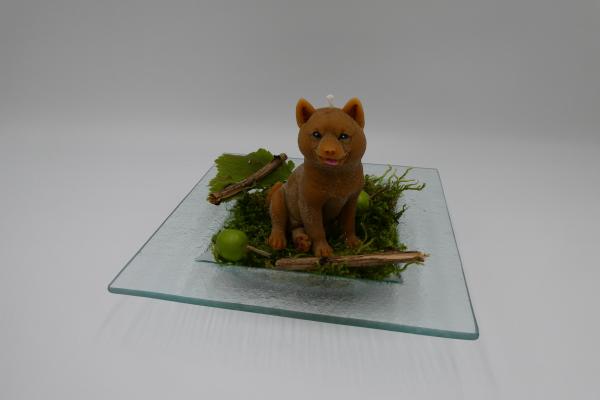 Schäferhund rehbraun