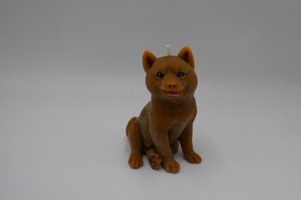 Schäferhund rehbraun