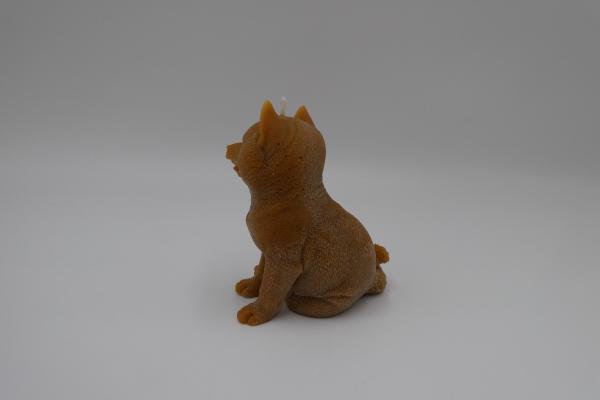Schäferhund rehbraun