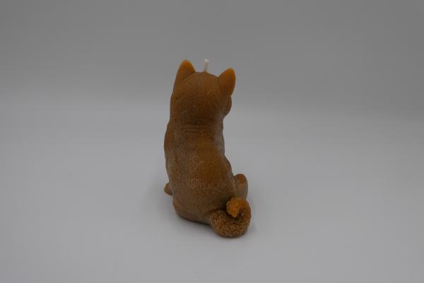 Schäferhund rehbraun