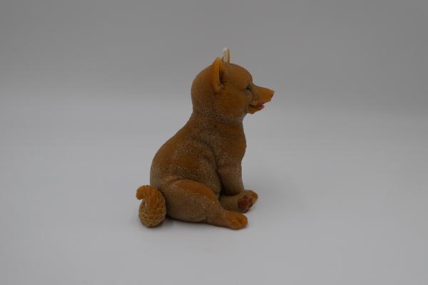 Schäferhund rehbraun